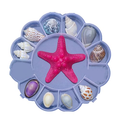Natürliche Muschel-Vitrine, Anzug, Muscheln, Seesterne, Schmuck-Organizer für Haustier-Lebensraum und Stranddekoration, Fach, tragbare Muschel-Vitrine Natürliche Muschel-Vitrine, Anzug, Muscheln, Seesterne, Schmuck-Organizer für Haustier-Lebensraum und Stranddekoration, Fach, tragbare Muschel-Vitrine von PANGBOER
