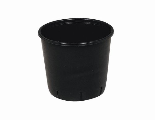 PANICK 1101554 Pflanzcontainer 15 l schwarz 33x24,5 cm von PANICK