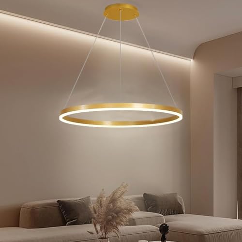 PANNN LED Pendelleuchte Modern Runde Dimmbar Hängeleuchte Ring Kreis Hängelampe Moderne Wohnzimmerleuchten Esstisch Pendellampe Pendelleuchte Für Kücheninsel Wohnzimmer Büro Halle(Gold,1-Ring-80cm) von PANNN