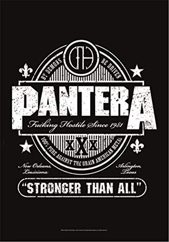 PANTERA FLAGGE / FAHNE / POSTERFLAGGE STRONGER THAN ALL von pantera