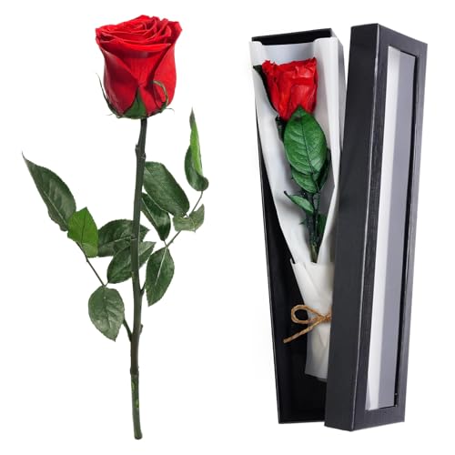 Unendliche Rose Rot Ewige Echte Rosen Infinity Rosen Geschenkbox Konservierte Rose Geschenkbox mit Stiel es ist Das Perfekte Geschenk für Mutter,Freundin,Frau und GroßMutter von PANYI