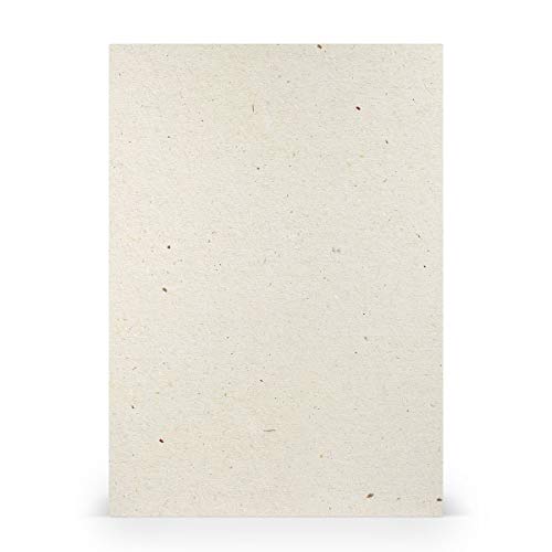 PAPERADO 100x Bastelkarton DIN A4 - Terra Vanilla Creme Beige 220 g/m² Tonkarton - Dickes Bastelpapier in 29,7 x 21 cm Malen, Basteln perfekte Bastelpappe von PAPERADO