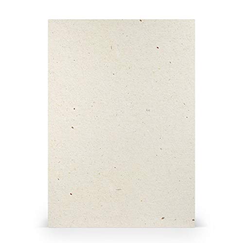 PAPERADO 100x Bastelkarton DIN A4 - Terra Vanilla Creme Beige 220 g/m² Tonkarton - Dickes Bastelpapier in 29,7 x 21 cm Malen, Basteln perfekte Bastelpappe von PAPERADO