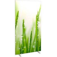 PAPERFLOW Trennwand easyScreen ES97014, Gräser bunt 94,0 x 173,2 cm PAPERFLOW Trennwand easyScreen ES97014, Gräser bunt 94,0 x 173,2 cm von PAPERFLOW