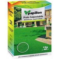 Papillon - begehbarer rasen 1kg max 40sqm c130030005 von PAPILLON