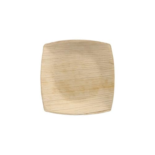 PAPSTAR 100 Teller, Palmblatt Pure 10 cm x 10 cm Natur Quadrato PAPSTAR 100 Teller, Palmblatt Pure 10 cm x 10 cm Natur Quadrato von PAPSTAR