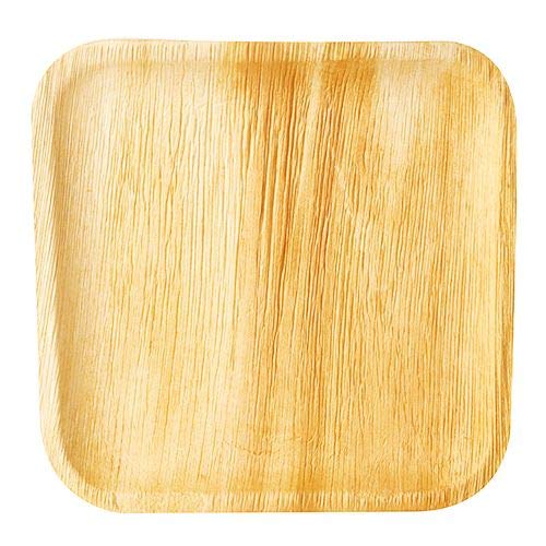 PAPSTAR 25 Teller, Palmblatt Pure eckig,5 cm x,5 cm x 1,5 cm von PAPSTAR