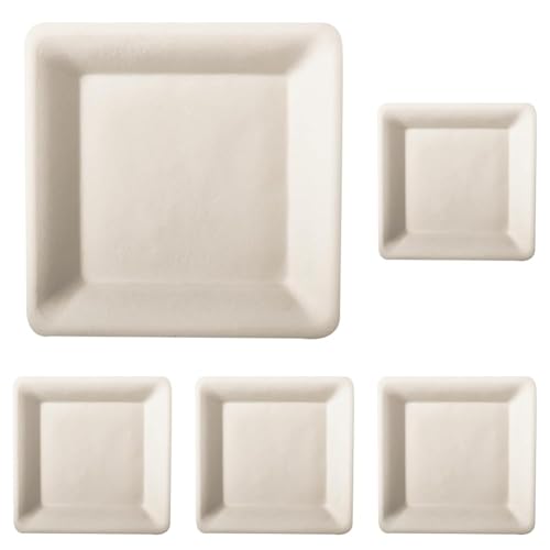 PAPSTAR 50 Teller, Zuckerrohr pure eckig 15,5 cm x 15,5 cm weiss Bio Einwegteller (Packung mit 5) von PAPSTAR