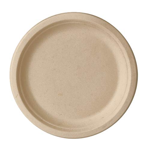 PAPSTAR 500 Teller, Zuckerrohr Pure ungeteilt Ø 23 cm · 2 cm Natur von PAPSTAR