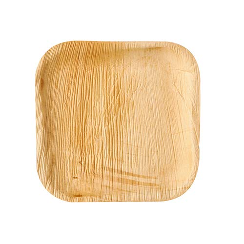 PAPSTAR 60 Teller, Palmblatt Pure eckig 18 cm x 18 cm x 1,5 cm von PAPSTAR
