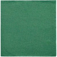 PAPSTAR Servietten Daily Collection grün 2-lagig 32,0 x 32,0 cm, 20 St. von PAPSTAR