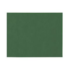 Papstar, 100 Tischsets, stoffähnlich, Vlies "soft selection" 30 cm x 40 cm dunkelgrün, #82324 von PAPSTAR