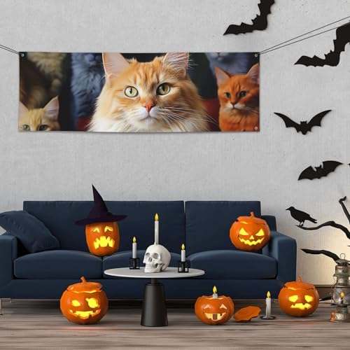 Banner für drinnen und draußen, personalisierbar, Motiv: Katzen, Tierbanner, Partyschilder, wiederverwendbar, blanko, 300D-Polyester, Dekoration, Banner für Party-Dekoration Banner für drinnen und draußen, personalisierbar, Motiv: Katzen, Tierbanner, Partyschilder, wiederverwendbar, blanko, 300D-Polyester, Dekoration, Banner für Party-Dekoration von PAQOLSMCKR