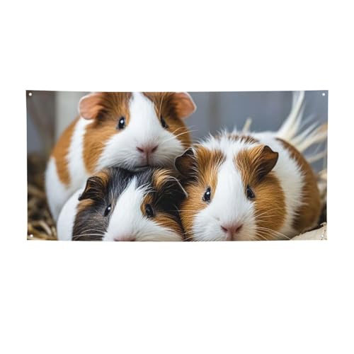 Banner für drinnen und draußen, personalisiertes Meerschweinchen-Banner, Partyschilder, wiederverwendbar, blanko, 300D-Polyester, Dekoration, Banner für Party-Dekoration Banner für drinnen und draußen, personalisiertes Meerschweinchen-Banner, Partyschilder, wiederverwendbar, blanko, 300D-Polyester, Dekoration, Banner für Party-Dekoration von PAQOLSMCKR