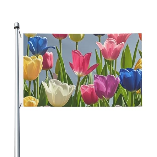 Flagge, 90 x 152 cm, doppelseitiges Banner, Dekoration, Outdoor-Flaggen, bunte Tulpen, Blumen, Flagge, 200D, schwere Gartenflaggen, Messingösen, Segeltuch, Kopfzeile für den Außenbereich, Hof, Banner Flagge, 90 x 152 cm, doppelseitiges Banner, Dekoration, Outdoor-Flaggen, bunte Tulpen, Blumen, Flagge, 200D, schwere Gartenflaggen, Messingösen, Segeltuch, Kopfzeile für den Außenbereich, Hof, Banner von PAQOLSMCKR
