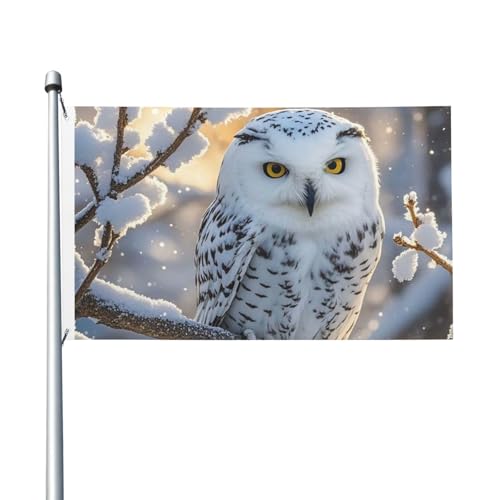 Flagge 90 x 152 cm Doppelseitiges Banner Dekoration Outdoor Flagge Winter Weiß Eule Flaggen 200D Schwere Gartenflaggen Messing Ösen Leinwand Header Außen Hof Banner für Urlaub Flagge 90 x 152 cm Doppelseitiges Banner Dekoration Outdoor Flagge Winter Weiß Eule Flaggen 200D Schwere Gartenflaggen Messing Ösen Leinwand Header Außen Hof Banner für Urlaub von PAQOLSMCKR