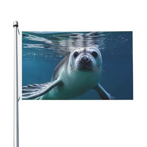 Flagge 90 x 152 cm Doppelseitiges Banner Dekoration Outdoor Flaggen Harfe Siegel Tapete Flagge 200D Schwere Gartenflaggen Messing Ösen Leinwand Header Außen Hof Banner für Urlaub von PAQOLSMCKR