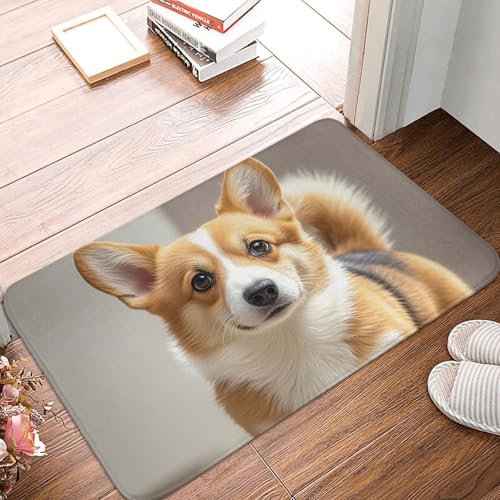 Fußmatte 60 x 40 cm, rutschfest, maschinenwaschbar, Fußmatte mit niedlichem Corgi-Hund, Eingangsmatte, Bodenmatte für Garage, Terrasse, Veranda, Bauernhaus Fußmatte 60 x 40 cm, rutschfest, maschinenwaschbar, Fußmatte mit niedlichem Corgi-Hund, Eingangsmatte, Bodenmatte für Garage, Terrasse, Veranda, Bauernhaus von PAQOLSMCKR