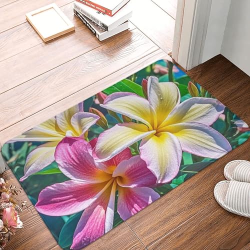 Fußmatte 60 x 40 cm, rutschfest, maschinenwaschbar, hawaiianische bunte Blume, Eingangsmatte, Bodenmatte für Garage, Terrasse, Veranda, Bauernhaus Fußmatte 60 x 40 cm, rutschfest, maschinenwaschbar, hawaiianische bunte Blume, Eingangsmatte, Bodenmatte für Garage, Terrasse, Veranda, Bauernhaus von PAQOLSMCKR