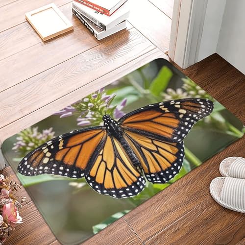 Fußmatte 60 x 40 cm, rutschfeste Schmutzfangmatte, maschinenwaschbar, Fußmatte, Monarch-Schmetterling, Eingangsmatte, Bodenmatte für Garage, Terrasse, Veranda, Bauernhaus Fußmatte 60 x 40 cm, rutschfeste Schmutzfangmatte, maschinenwaschbar, Fußmatte, Monarch-Schmetterling, Eingangsmatte, Bodenmatte für Garage, Terrasse, Veranda, Bauernhaus von PAQOLSMCKR