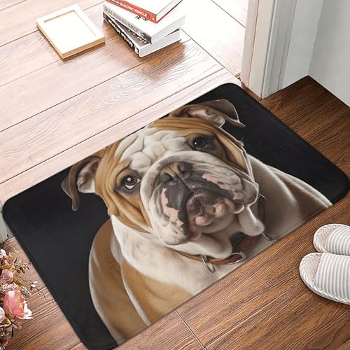 Fußmatte 60 x 40 cm, rutschfeste Schmutzfangmatten, maschinenwaschbar, Türmatte, Englische Bulldogge, Eingangsmatte, Bodenmatte für Garage, Terrasse, Veranda, Bauernhaus Fußmatte 60 x 40 cm, rutschfeste Schmutzfangmatten, maschinenwaschbar, Türmatte, Englische Bulldogge, Eingangsmatte, Bodenmatte für Garage, Terrasse, Veranda, Bauernhaus von PAQOLSMCKR