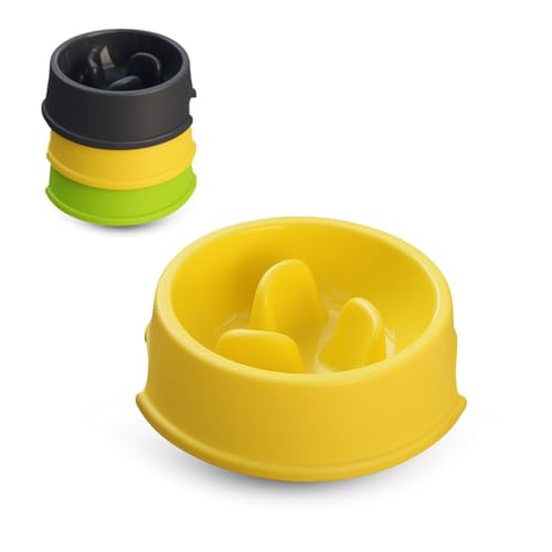 PARENCE.- Anti-Schleimnapf für Hunde und Katzen – 1 Liter Kunststoffnapf, Fütterungsverzögerer, Blähungen und Übergewichtsprävention – zufällige Farbe PARENCE.- Anti-Schleimnapf für Hunde und Katzen – 1 Liter Kunststoffnapf, Fütterungsverzögerer, Blähungen und Übergewichtsprävention – zufällige Farbe von PARENCE