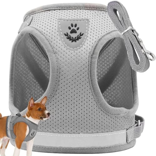 PARENCE.- Hunde- und Katzengeschirr Größe S mit Leine – verstellbare und atmungsaktive Netzweste, Sicherheit und Komfort für Welpen, Kätzchen und Kleintiere PARENCE.- Hunde- und Katzengeschirr Größe S mit Leine – verstellbare und atmungsaktive Netzweste, Sicherheit und Komfort für Welpen, Kätzchen und Kleintiere von PARENCE