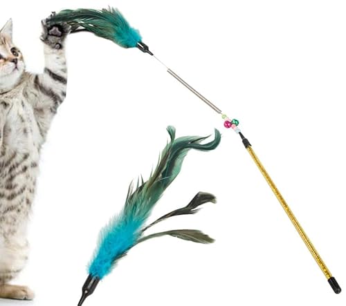 PARENCE. - Spielzeug für Katzen/Angelrute, interaktiv, mit Feder, Stimulation des Jagdinstinkts und Unterhaltung für Ihr Tier – zufällige Farbe von PARENCE
