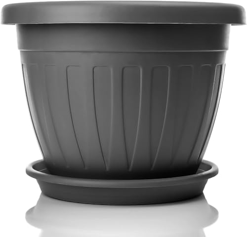 Parence.- Kleiner Blumentopf mit Untersetzer - Blumentopf 17 cm mit Topfuntersetzer | Praktisches und leichtes Design | Perfekt für Pflanzen, Stecklinge oder frühe Triebe 17cm von PARENCE