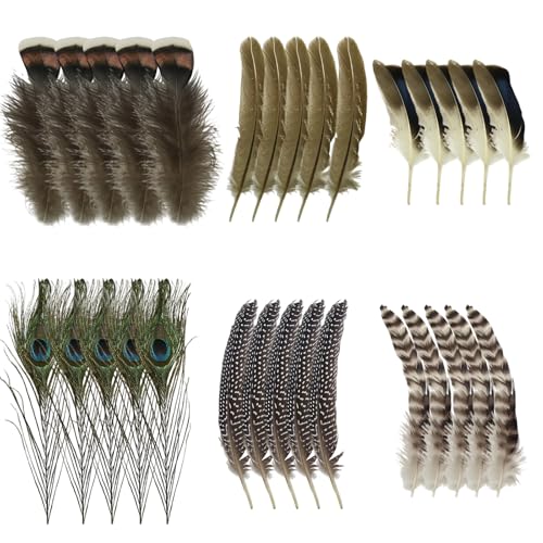 PARFCO Bastelfedern Dekorationen, 48 Stück Federn Basteln, 6 Federdesigns Deko Federn, Dekorative Pfauenfeder, für DIY-Dekoration von Masken, Schmuck und Hochzeitsfeiern von PARFCO