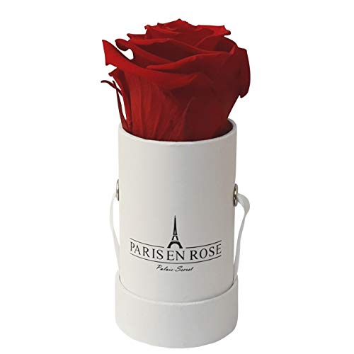 PARIS EN ROSE Mini Rosenbox Palais-Secret | 3 Jahre haltbar | weiße Flowerbox mit bordeauxroter Infinity Rose | 1 konservierte Blume von PARIS EN ROSE