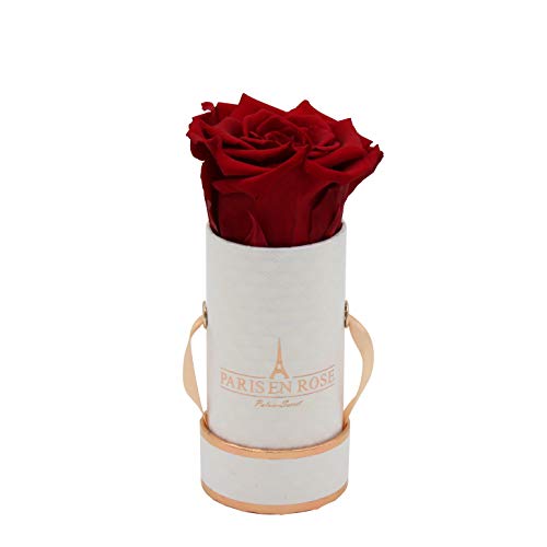 PARIS EN ROSE Rosenbox Deluxe | mit Einer Bordeaux-roten Infinity Rose Größe XL | konservierte ewige Rose | runde Weiß-Roségoldene Box | 3 Jahre haltbar | Grußkarte von PARIS EN ROSE