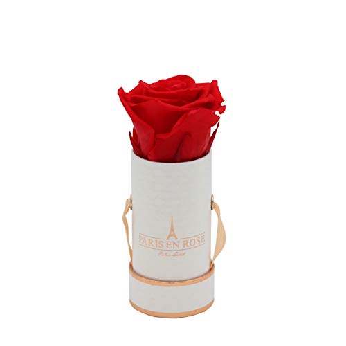 PARIS EN ROSE Rosenbox Deluxe | mit Einer roten Infinity Rose Größe XL | konservierte ewige Rose | runde Weiß-Roségoldene Box | 3 Jahre haltbar | Grußkarte von PARIS EN ROSE