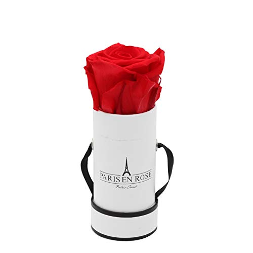 PARIS EN ROSE Rosenbox | mit einer roten Infinity Rosen Größe XL | konservierte ewige Rose | runde Weiß-Schwarze Box |3 Jahre haltbar | Grußkarte von PARIS EN ROSE