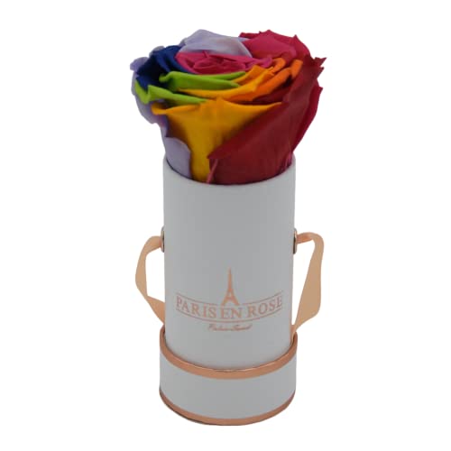 PARIS EN ROSE Rosenbox Rainbow | mit Einer (1) konservierten Infinity Rose Größe XL | ewige Rose | Regenbogen | runde Box in Weiß-Roségold | 3 Jahre haltbar (Mini (1 Rose)) von PARIS EN ROSE