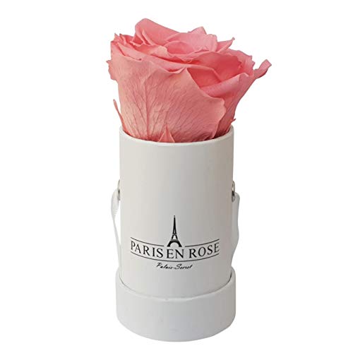 PARIS EN ROSE Rosenbox | mit Einer rosa Infinity Rose Größe XL | konservierte ewige Rose | runde weiße Box mit Band | 3 Jahre haltbar von PARIS EN ROSE