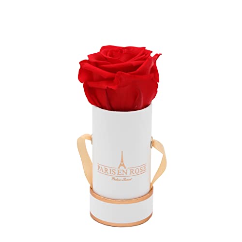 PARIS EN ROSE Rosenbox | mit Einer roten Infinity Rose Größe XL | ewige Rose | runde Box Weiß-Rosegold | 3 Jahre haltbar | Grußkarte von PARIS EN ROSE