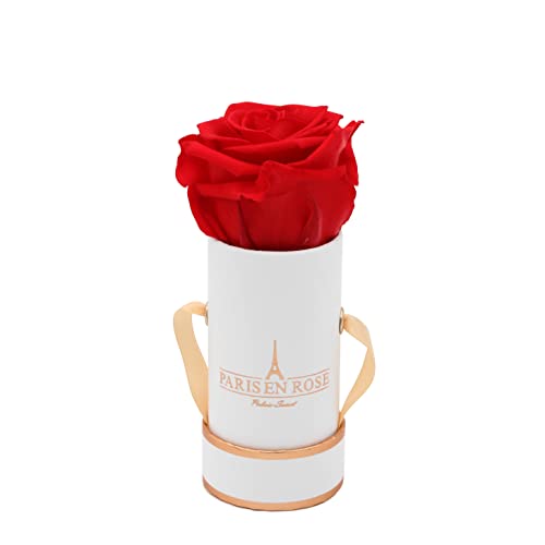 PARIS EN ROSE Rosenbox | mit einer roten Infinity Rose Größe XL | ewige Rose | runde Box Weiß-Rosegold | 3 Jahre haltbar | Grußkarte von PARIS EN ROSE