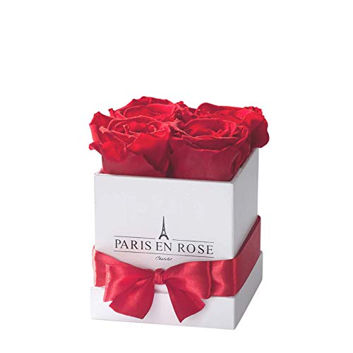 PARIS EN ROSE Rosenbox | mit Vier roten Infinity Rosen Größe XL | konservierte ewige Rose | eckige weiße Box mit Band | 3 Jahre haltbar PARIS EN ROSE Rosenbox | mit Vier roten Infinity Rosen Größe XL | konservierte ewige Rose | eckige weiße Box mit Band | 3 Jahre haltbar von PARIS EN ROSE