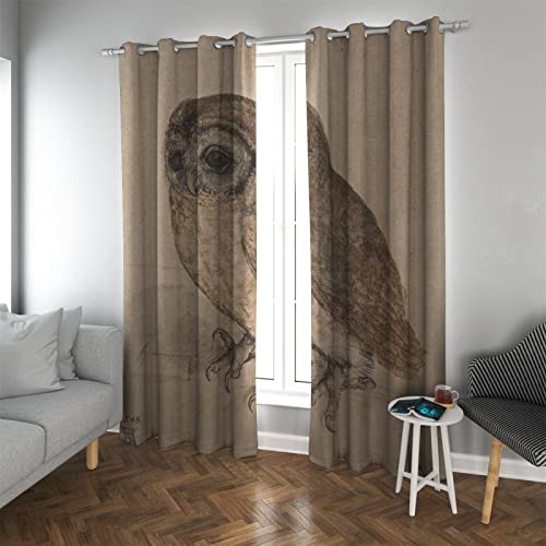 Extra Lange Eule Tiere Verdunkelung Fenstervorhang 2 Paneele Albrecht Dürer Schöne Kunst Noise Cancelling Vorhänge Behandlung für Baby Kinderzimmer 140x180cm von PARREN