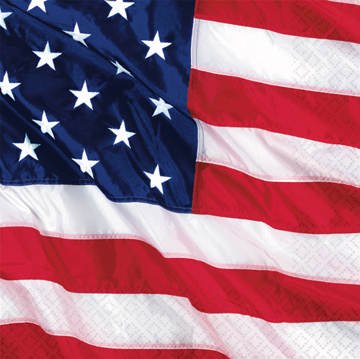 PARTY DISCOUNT KUQ43742 Servietten, U.S.A., 16 Stück von PARTY DISCOUNT
