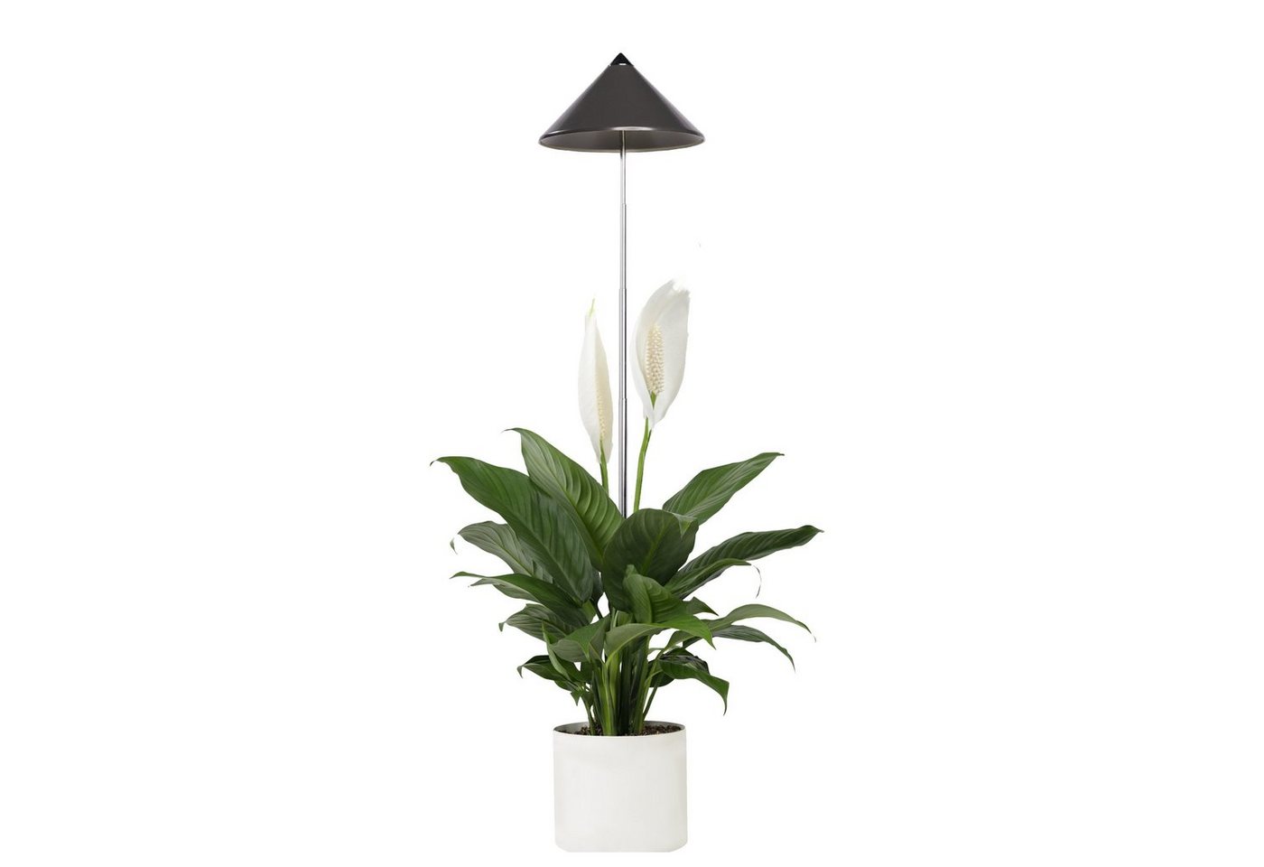 PARUS Pflanzenlampe Indoor plants, Leuchtmittel für Pflanzen, Teleskopstab 1m, Parus by Venso SUNLiTE 7W LED Vollspektrum Pflanzenlampe Grau, Indoor von PARUS