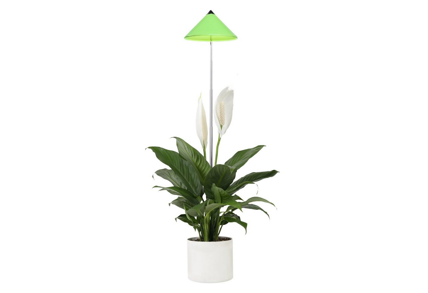 PARUS Pflanzenlampe Indoor plants, Leuchtmittel für Pflanzen, Teleskopstab 1m, Parus by Venso SUNLiTE 7W LED Vollspektrum Pflanzenlampe Grün, Indoor von PARUS