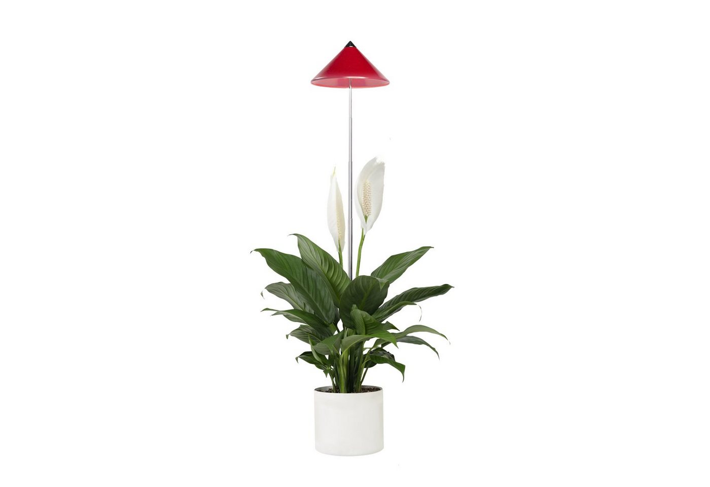 PARUS Pflanzenlampe Indoor plants, Leuchtmittel für Pflanzen, Teleskopstab 1m, Parus by Venso SUNLiTE 7W LED Vollspektrum Pflanzenlampe Rot, Indoor P von PARUS