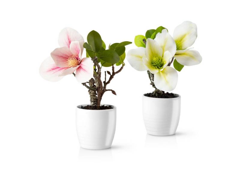 Kunstorchidee 3er Set künstliche Orchideen wie echt (35cm) in Hochglanz-Keramiktopf Orchidee, PASCH von PASCH