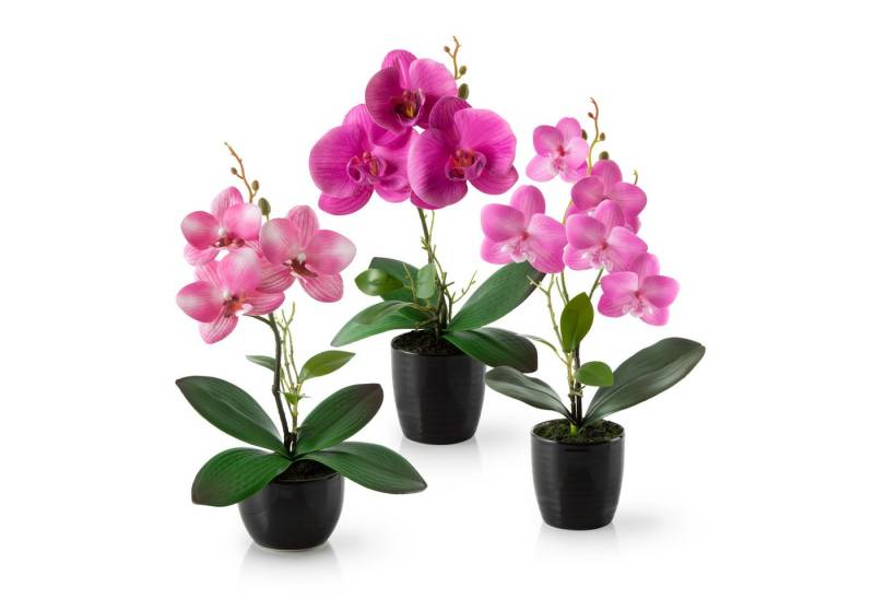 Kunstorchidee 3er Set künstliche Orchideen wie echt (46cm) in Hochglanz-Keramiktopf Orchidee, PASCH von PASCH