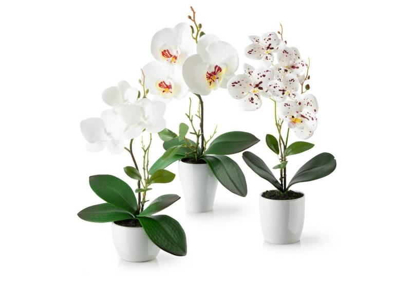 Kunstorchidee 3er Set künstliche Orchideen wie echt (46cm) in Hochglanz-Keramiktopf Orchidee, PASCH von PASCH