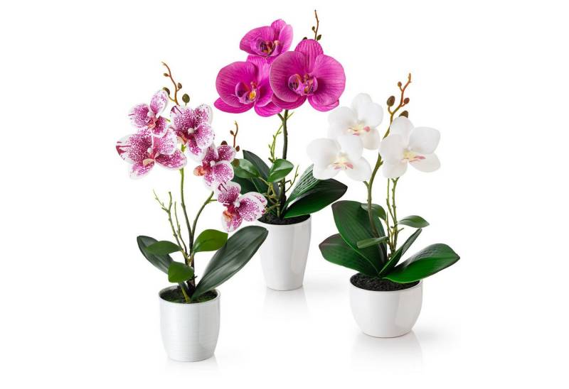 Kunstorchidee 3er Set künstliche Orchideen wie echt (46cm) in Hochglanz-Keramiktopf Orchidee, PASCH von PASCH