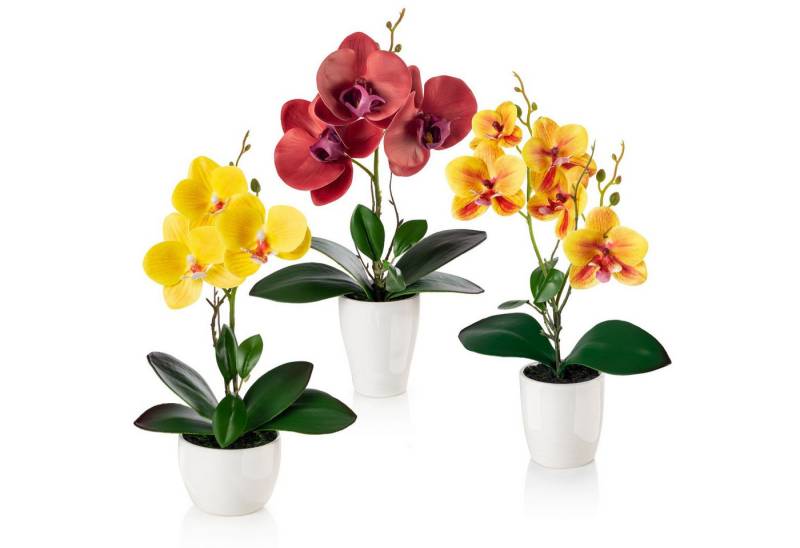 Kunstorchidee 3er Set künstliche Orchideen wie echt (46cm) in Hochglanz-Keramiktopf Orchidee, PASCH von PASCH