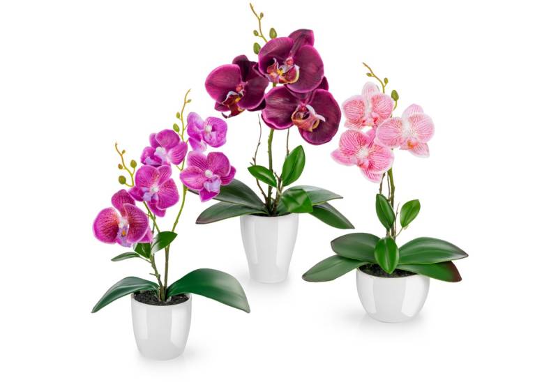 Kunstorchidee 3er Set künstliche Orchideen wie echt (46cm) in Hochglanz-Keramiktopf Orchidee, PASCH von PASCH